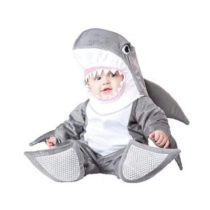 tiburon bebe